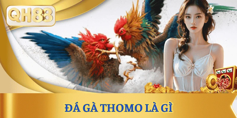 da-ga-thomo-tong-quan