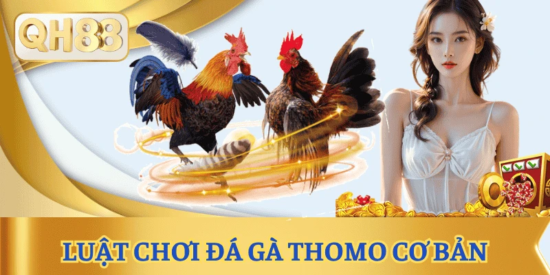 luat-choi-da-ga-thomo