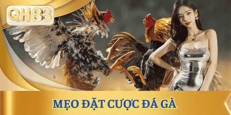meo-dat-cuoc-da-ga-thang