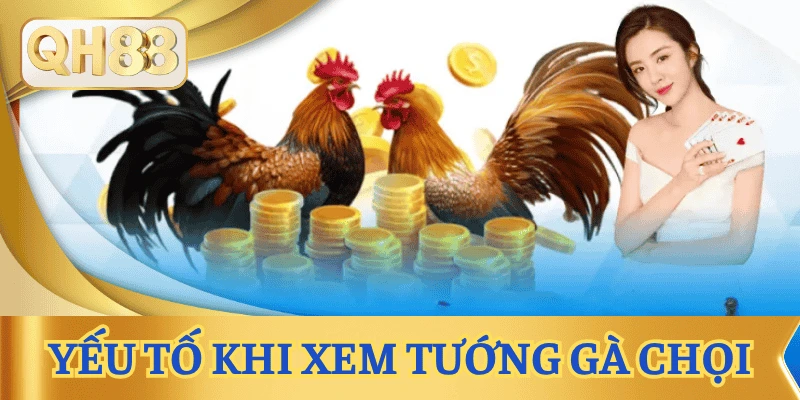 yeu-to-danh-gia-xem-tuong-ga-choi