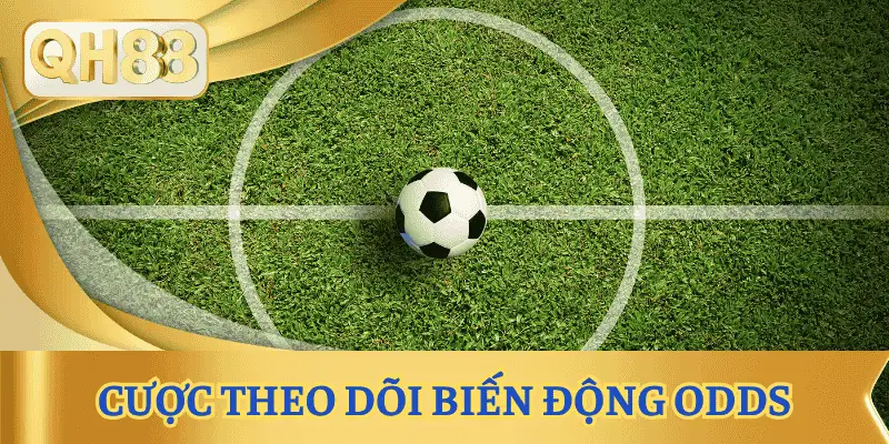 cong-thuc-ca-do-bong-da-theo-doi-bien-dong-odds