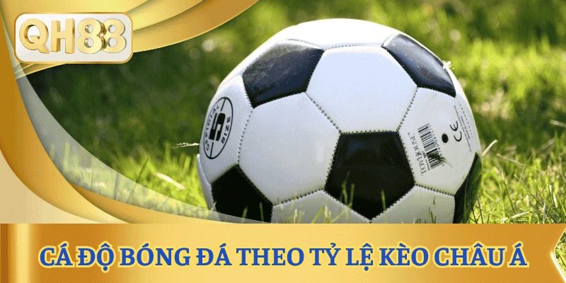 cong-thuc-ca-do-bong-da-theo-keo-chau-a